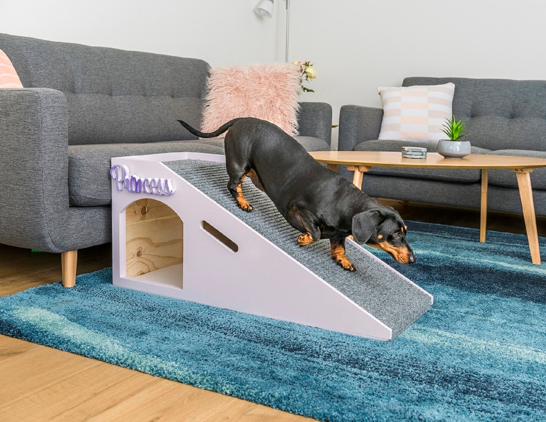 Is a ramp or steps better for my dog Furbaby Comforts