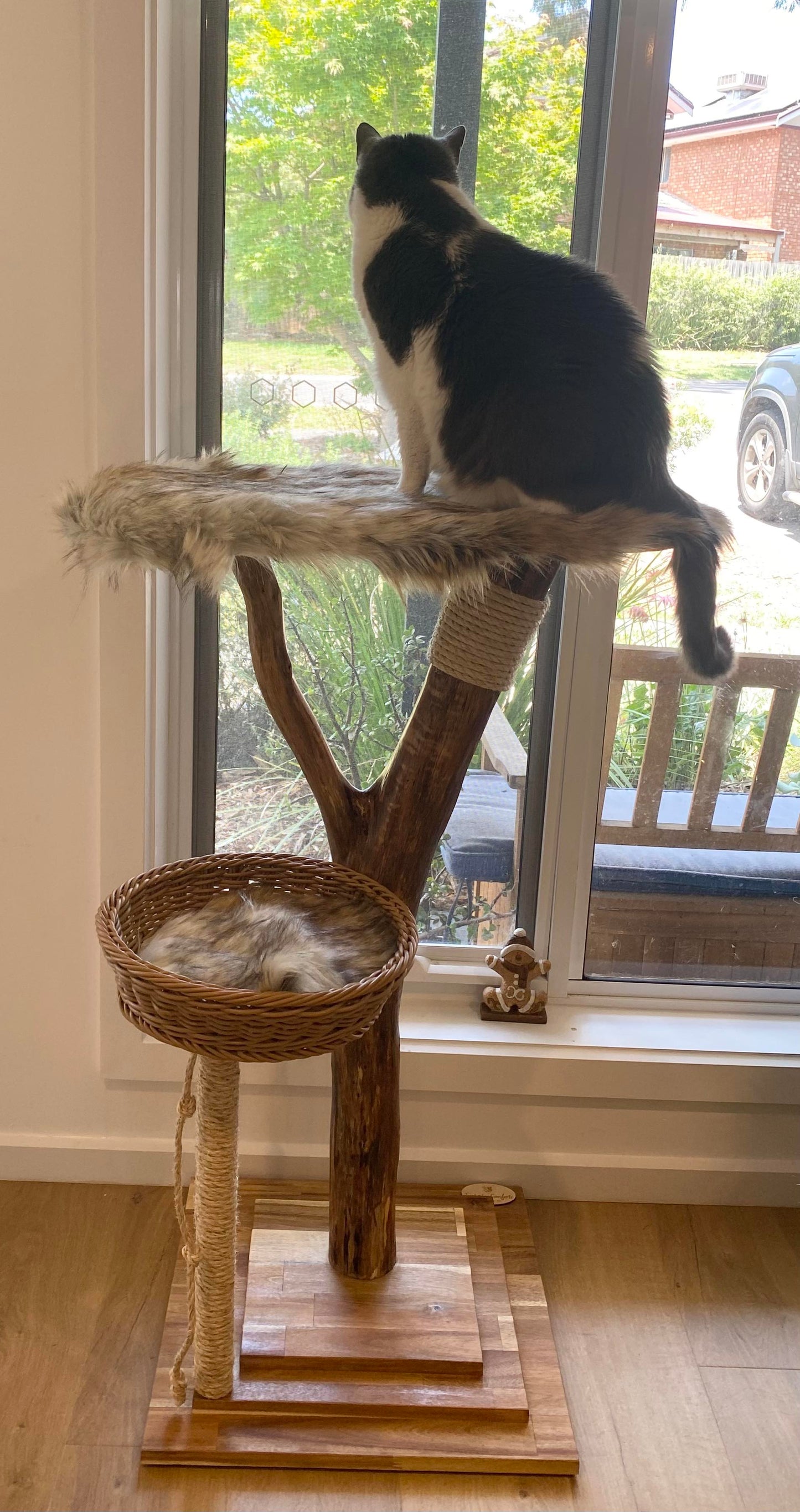 Viewing Cat Tree