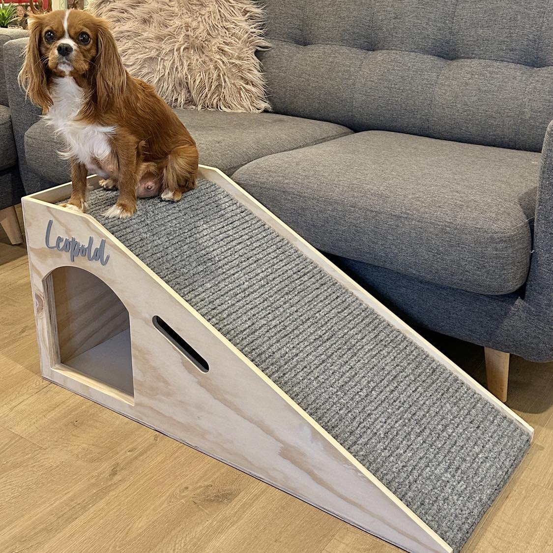 dog with ramp for couch