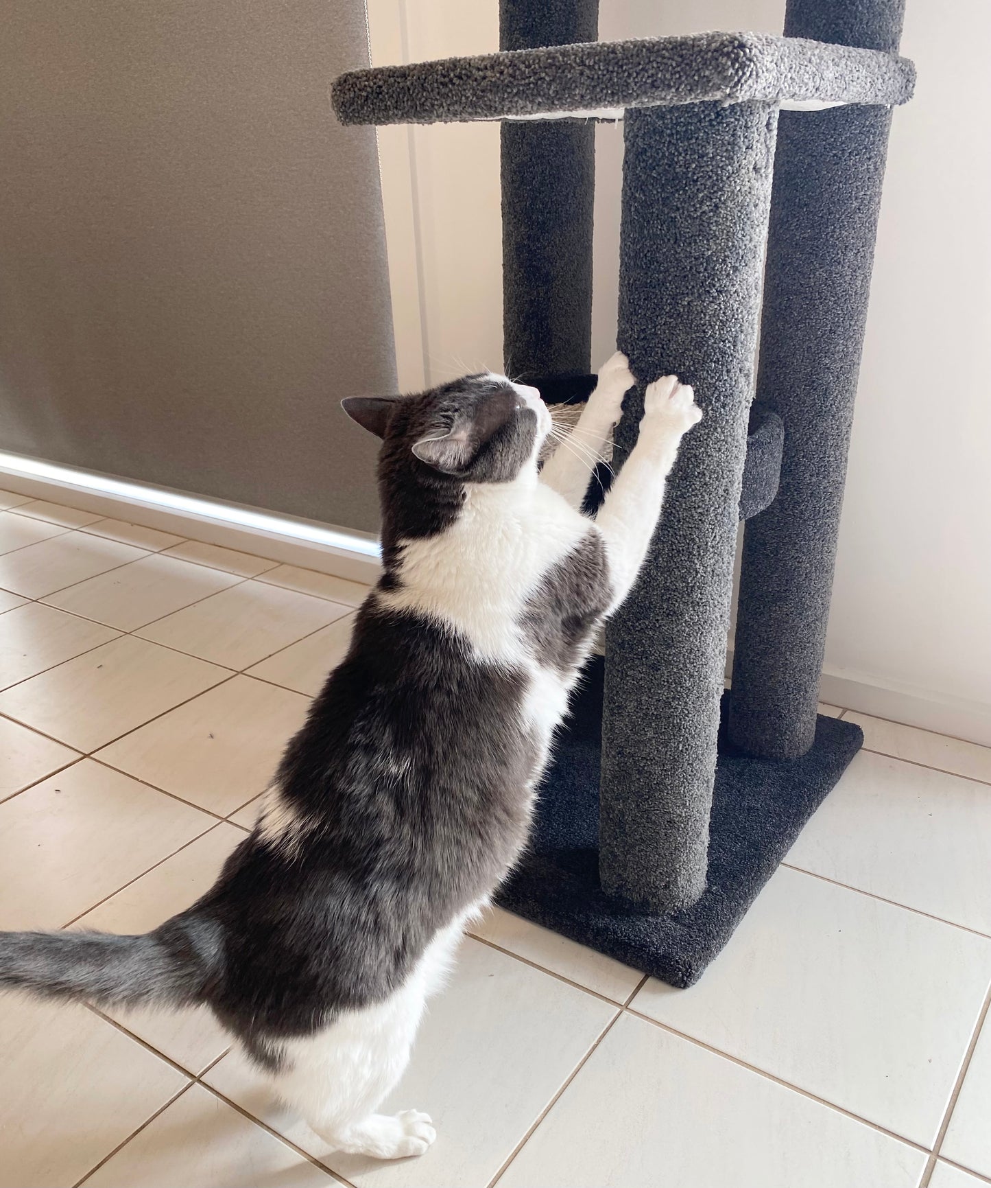 Handmade Large 4 Level Cat Tree (only available in Victoria)