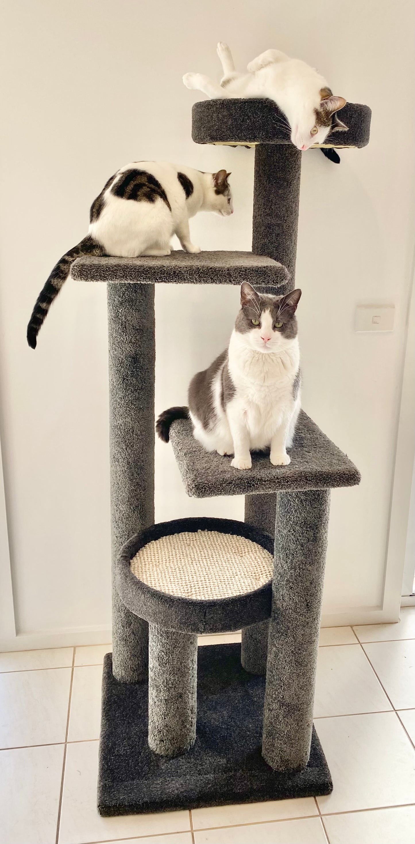 Handmade Large 4 Level Cat Tree (only available in Victoria)