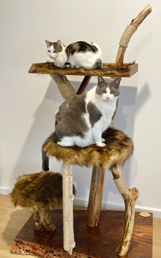 Feature Cat Tree