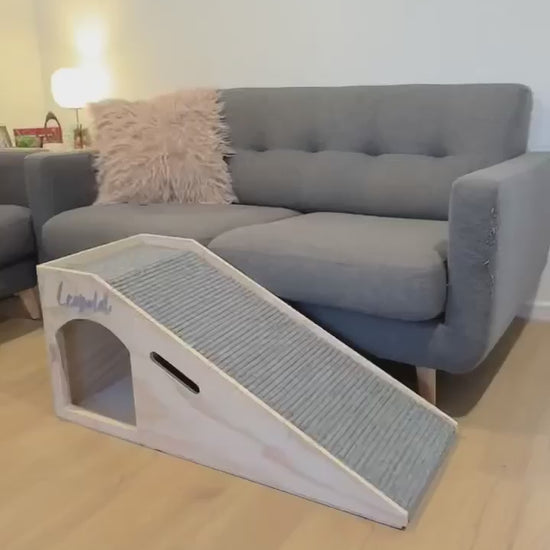 video of dog using ramp for couch