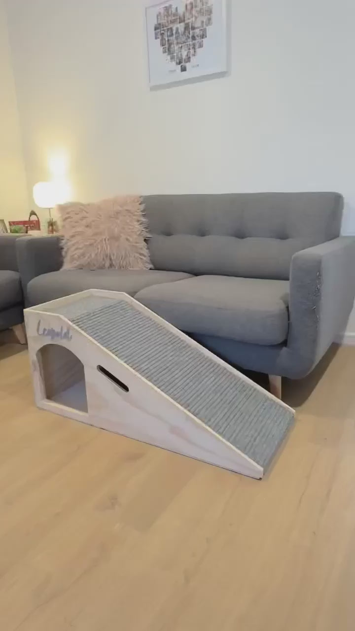 video of dog using ramp for couch