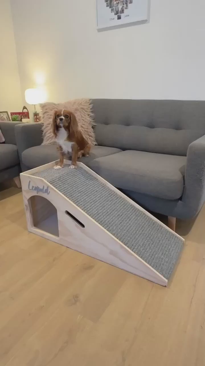 video of dog using ramp for couch