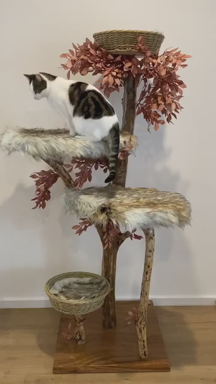 Video of cat on natural cat tree cat scratcher