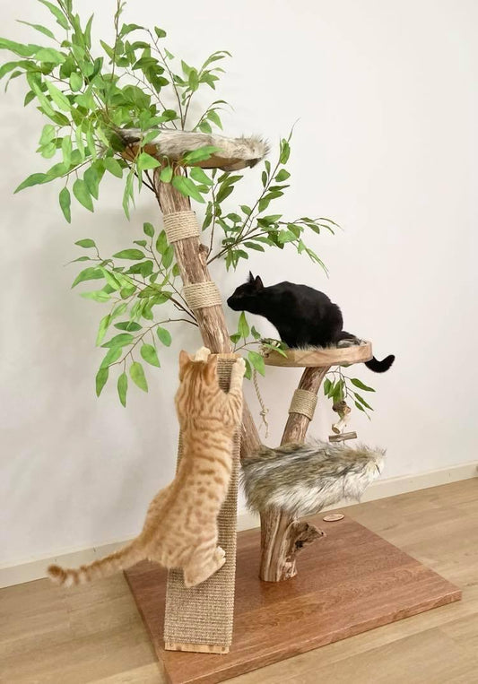 Photo of The cat tree with scratching climbing board. 2 cats on cat tree