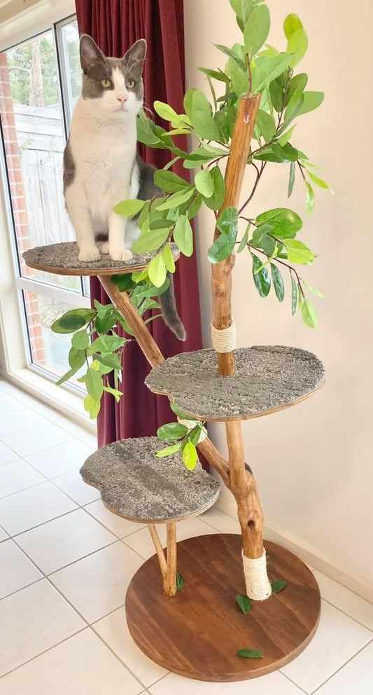 Photo of real life cat feline scratching tree with cat on top platform