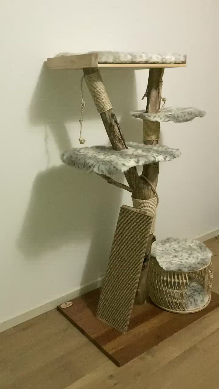 Video of Royal cat tree. Cat scratcher. Kitty climber. 