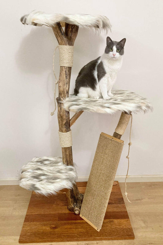 Photo of Cat sitting on handmade cat tree from real tree branch. Cat scratcher. Cat tower.