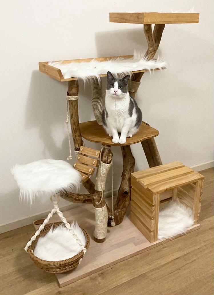 Photo of cat on handmade cat tree. Real branch. Cat scratcher