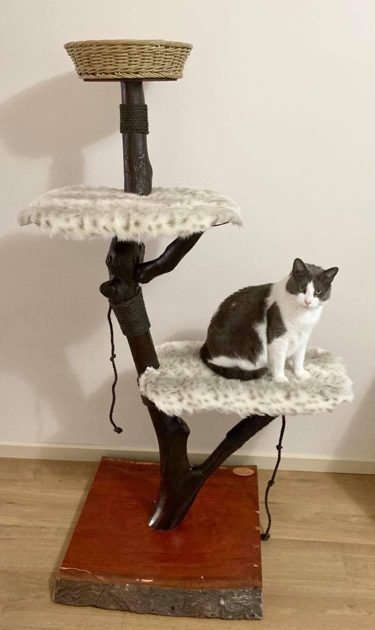 Faith Cat Tree - Custom - Furbaby Comforts