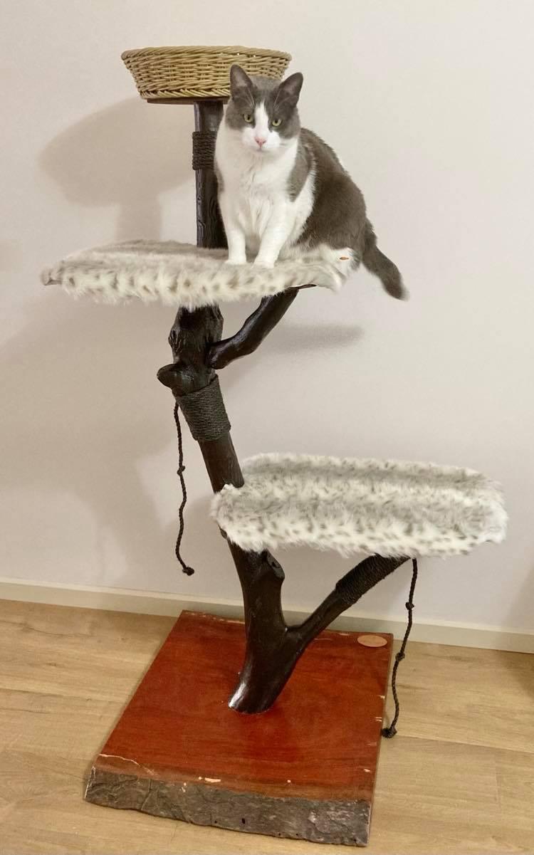 Faith Cat Tree - Custom - Furbaby Comforts