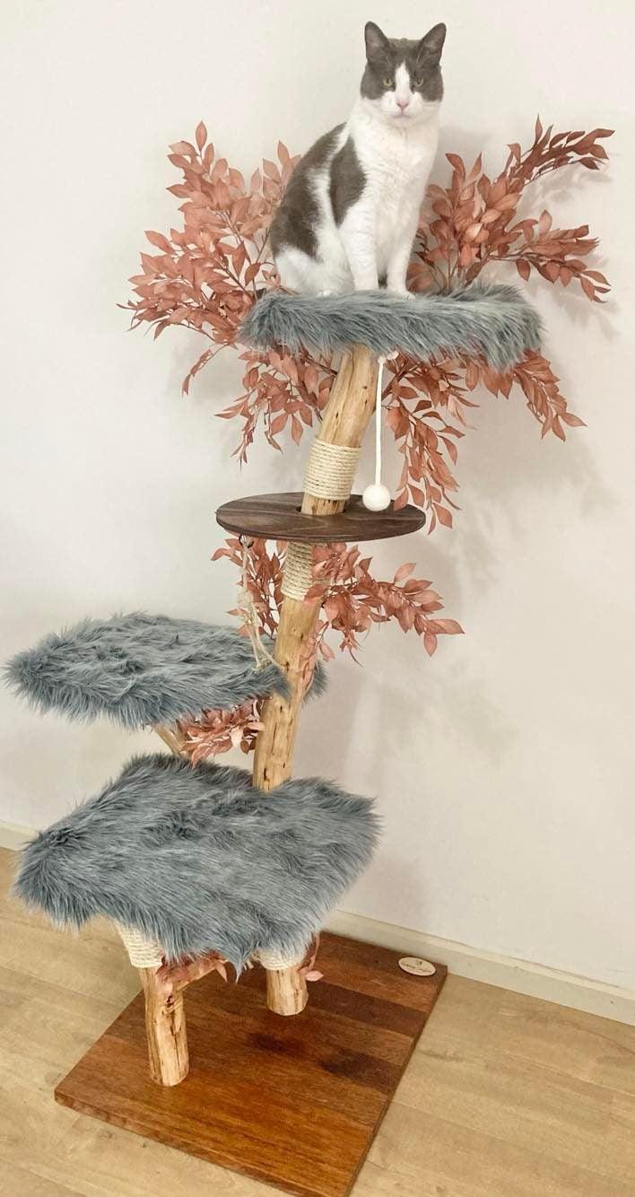 Photo of Cat on Cat scratcher cat tree