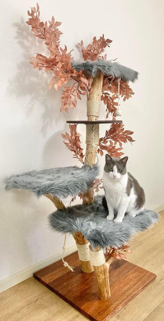 Photo of Cat on Cat scratcher cat tree