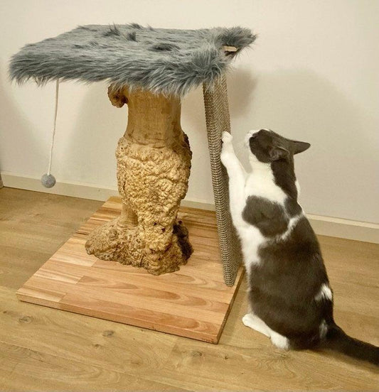 Mallee Cat Tree with climber - Furbaby Comforts