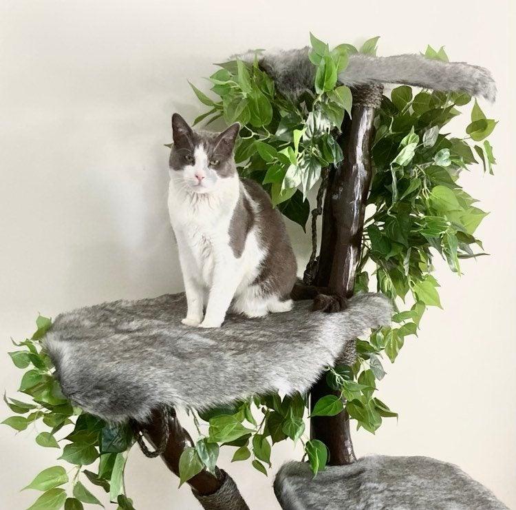 Photo of cat on cat tree, cat scratcher