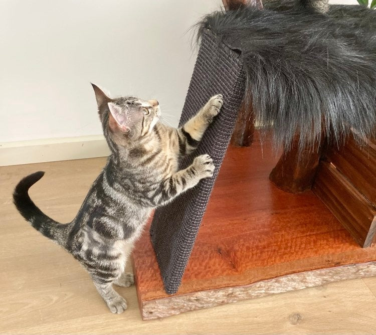 Cat tree made from real branch. Cat scratcher, cat furniture 