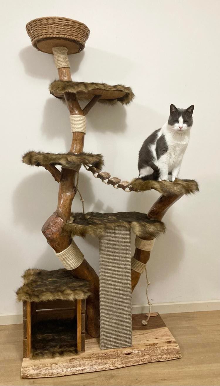 Explorer Cat Tree - Custom build