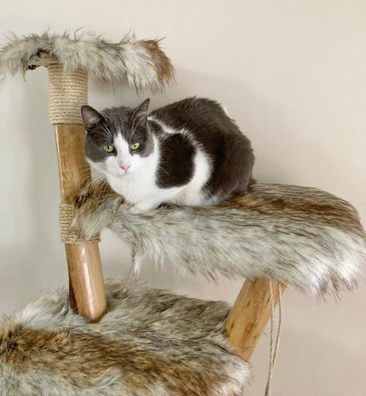 Cauliflowers Cat Tree - Custom