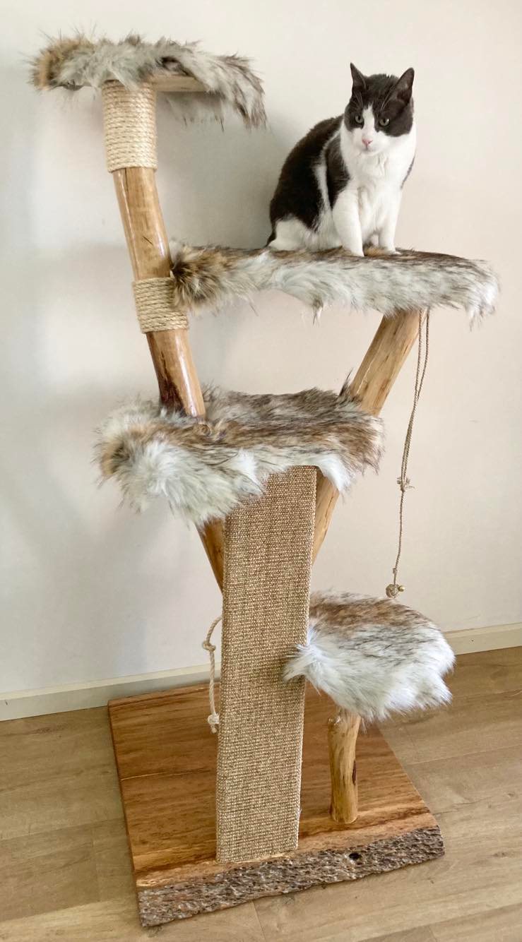 Cauliflowers Cat Tree - Custom