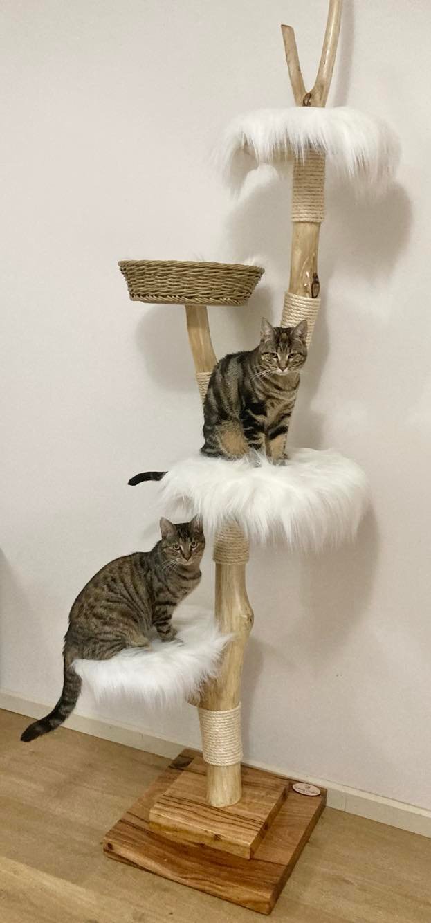 Cloudy Cat Tree - Custom