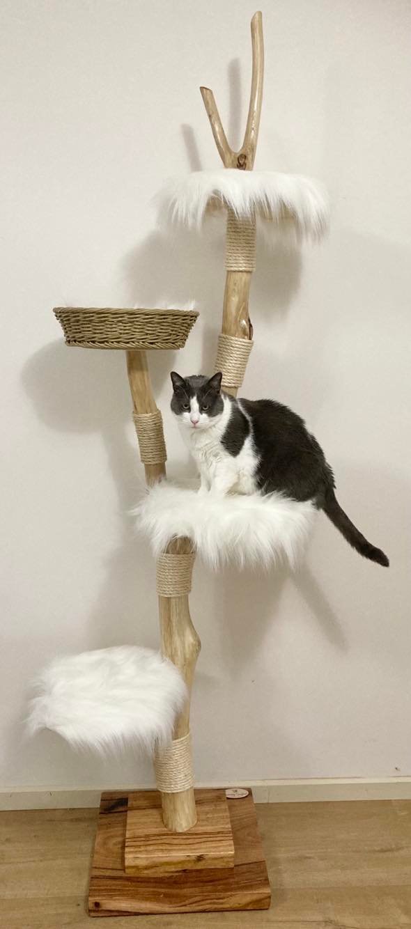 Cloudy Cat Tree - Custom