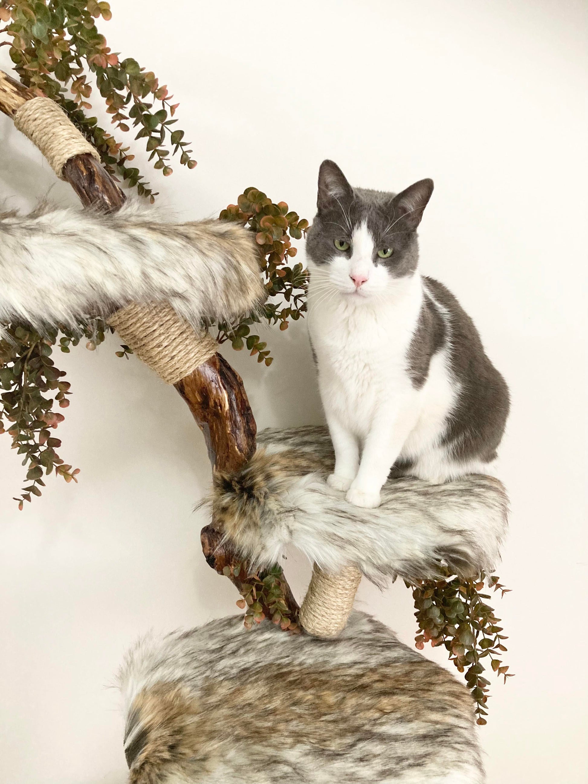 1 cats on cat tree, natural cat tower 