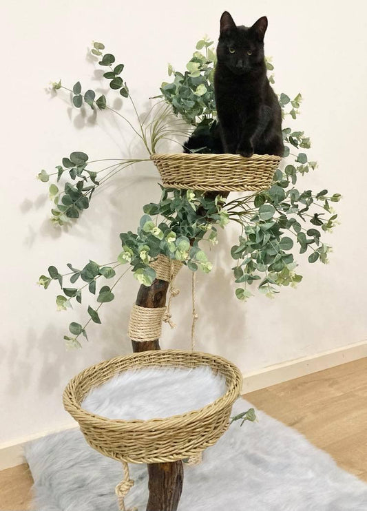 Photo of The Eucalyptus  cat tree. Cat scratcher made from real tree with kitty cat