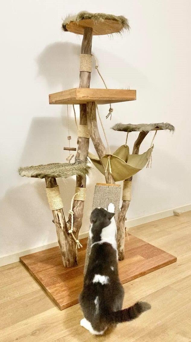 Photo of Play cat tree. Cat scratcher. Kitty climber. 1 cat on cat tree