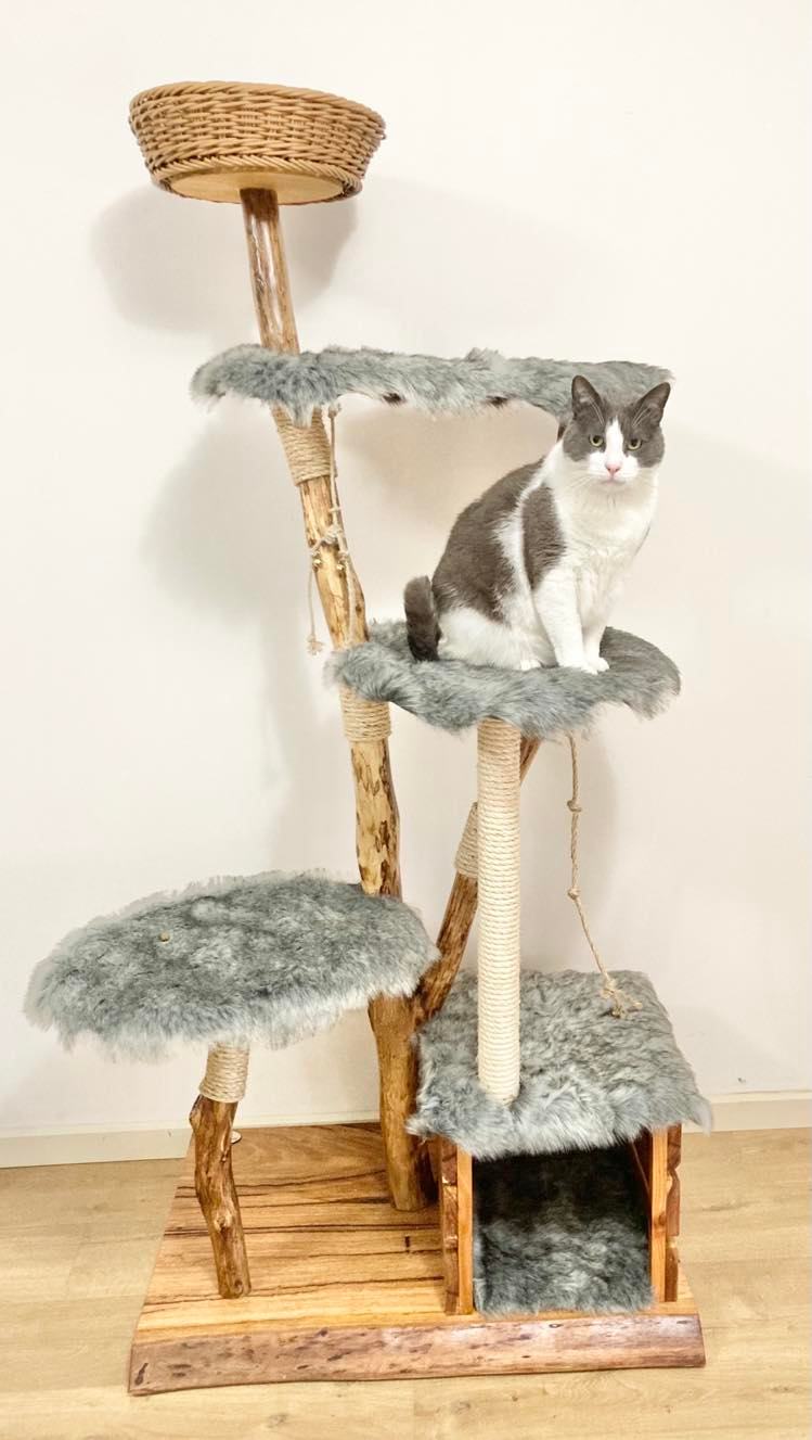 Cat on handmade natural tree cat tree, cat furniture 