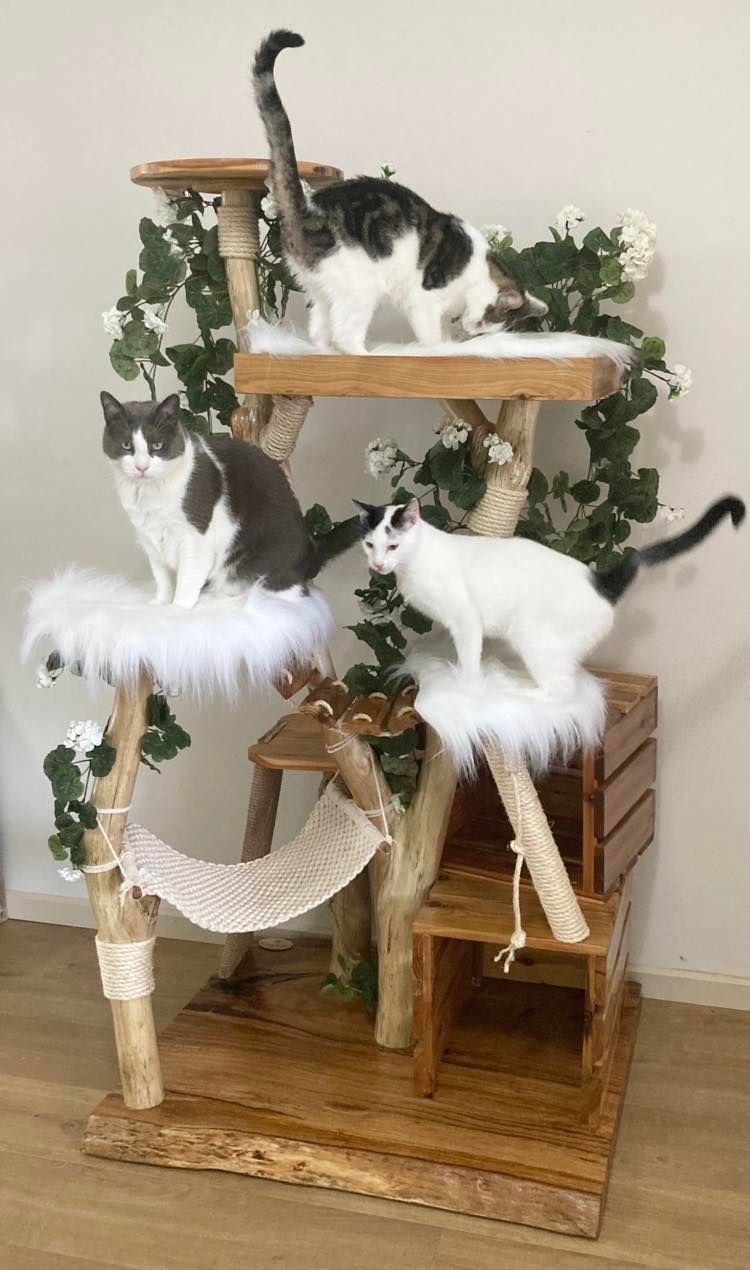 Darcy's Retreat Cat Tree - Custom build