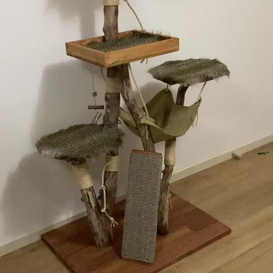 Video of Play cat tree. Cat scratcher. Kitty climber. 