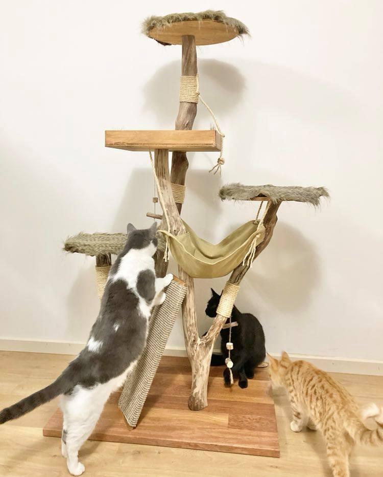 Photo of Play cat tree. Cat scratcher. Kitty climber. 3 cat on cat tree