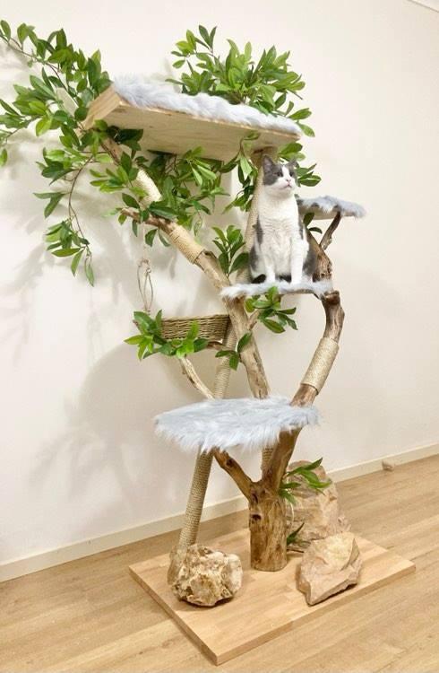 Photo of real cat tree. Cat scratcher 