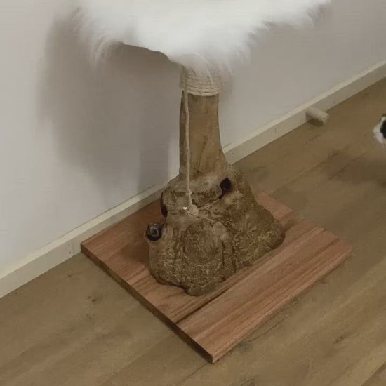 Video of Mallee Cat Tree, cat scratcher, cat furniture 