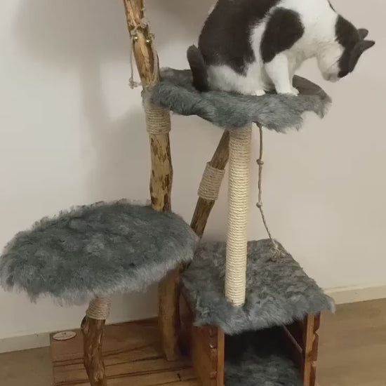 Video of purbaby on handmade natural tree cat tree, cat furniture 