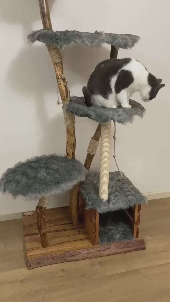 Video of purbaby on handmade natural tree cat tree, cat furniture 