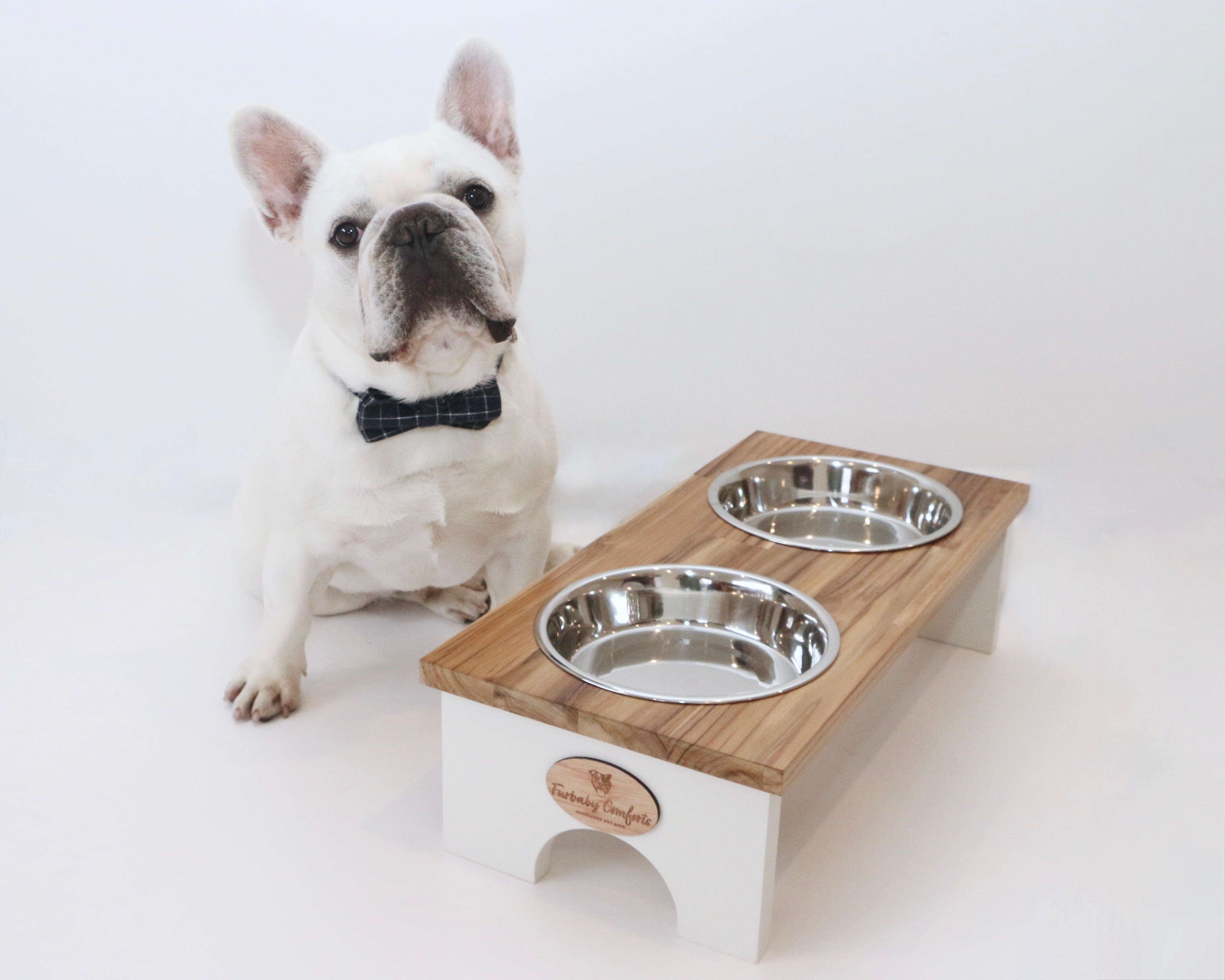 Brachycephalic 2024 dog bowls