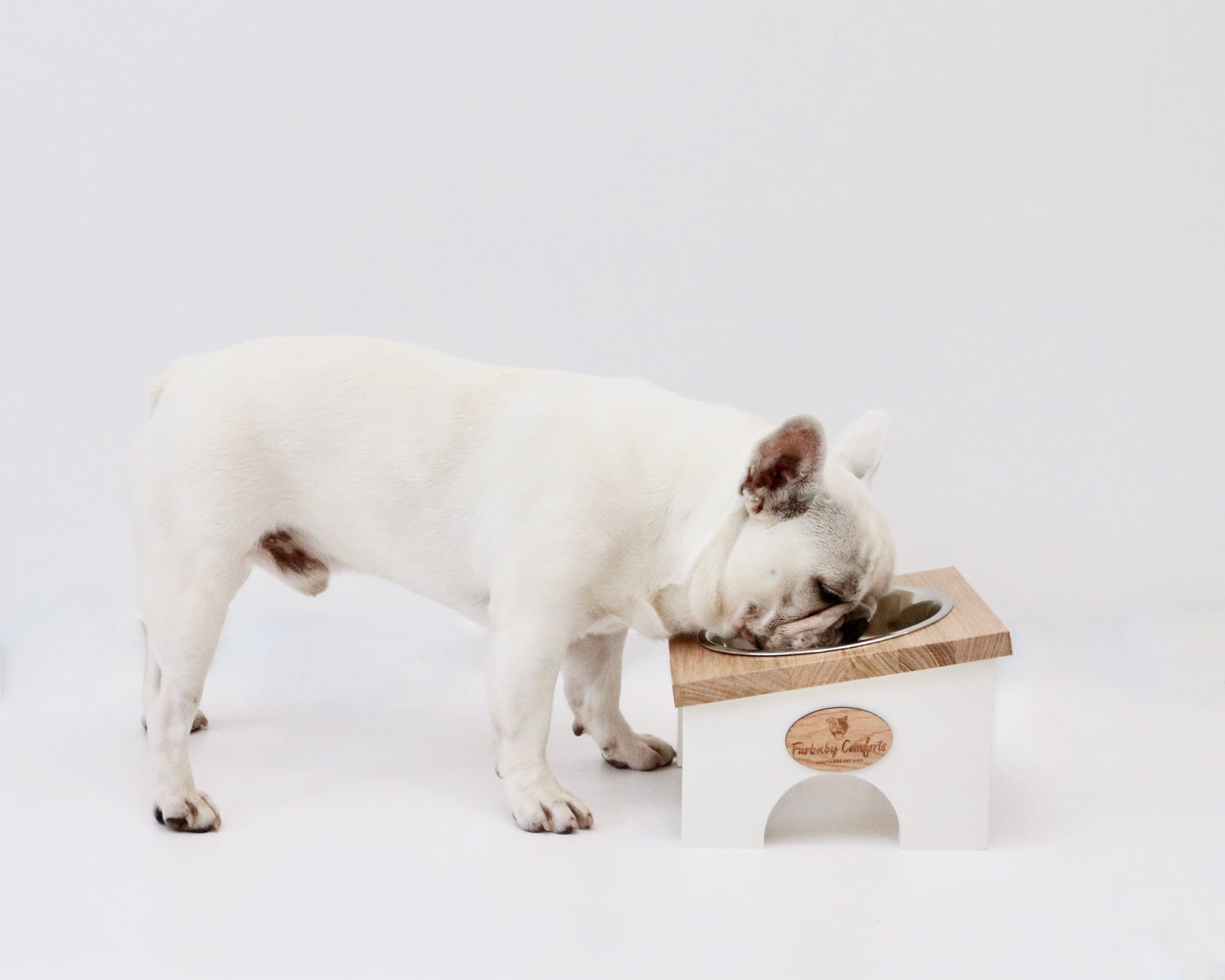 Elevated Dog Bowl Stand for flat face/shorts snout breeds