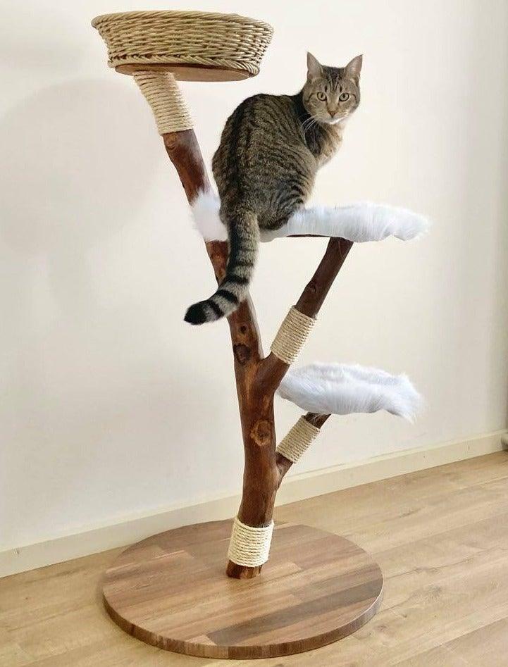 Photo of Kitty cat tree, cat scratcher with cat. 