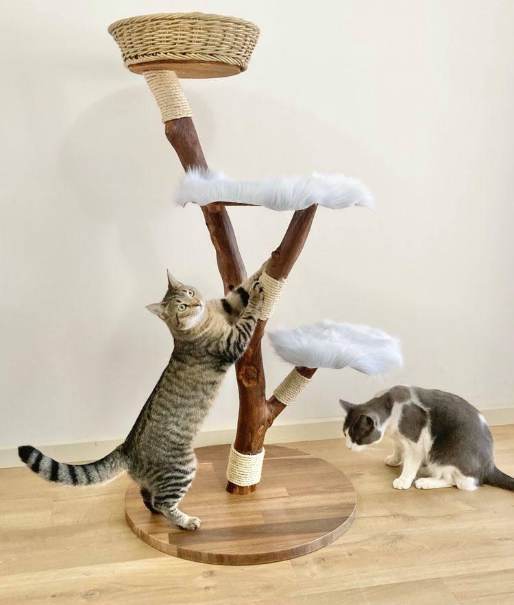 Photo of Kitty cat tree, cat scratcher with cat. 