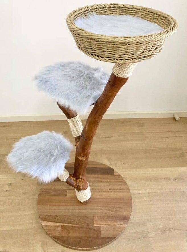 Photo of Kitty cat tree, cat scratcher.