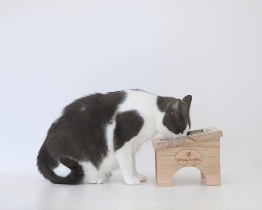 Elevated Cat Bowl Stand