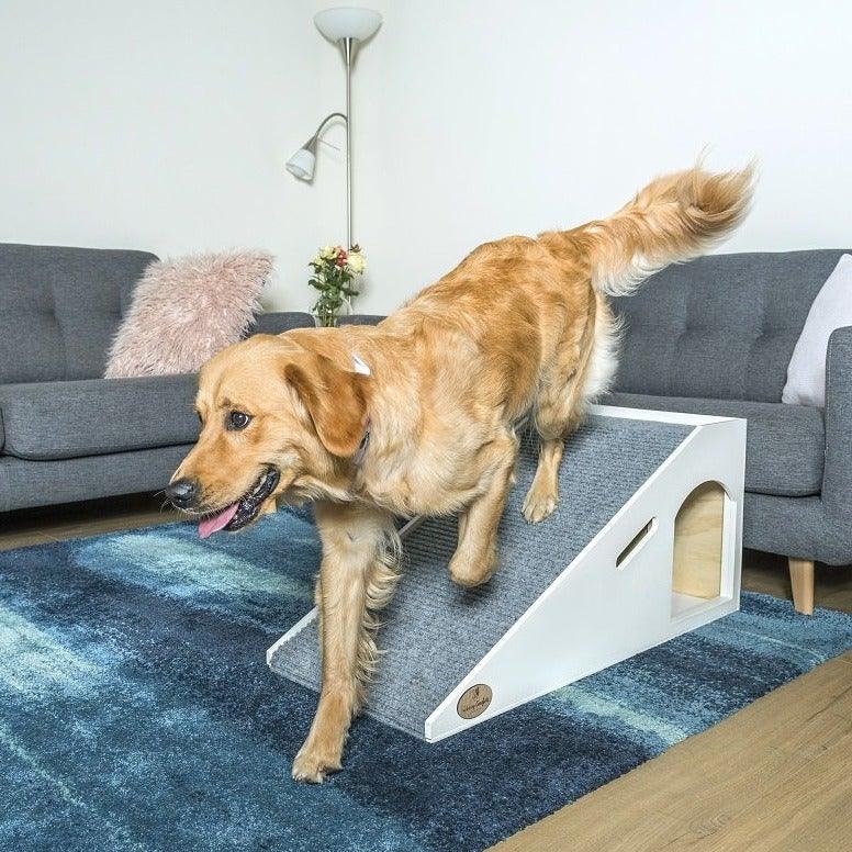 Photo of the Sleek Couch Ramp with Golden Retriever going down ramp. Dog ramp suitable for couch. 